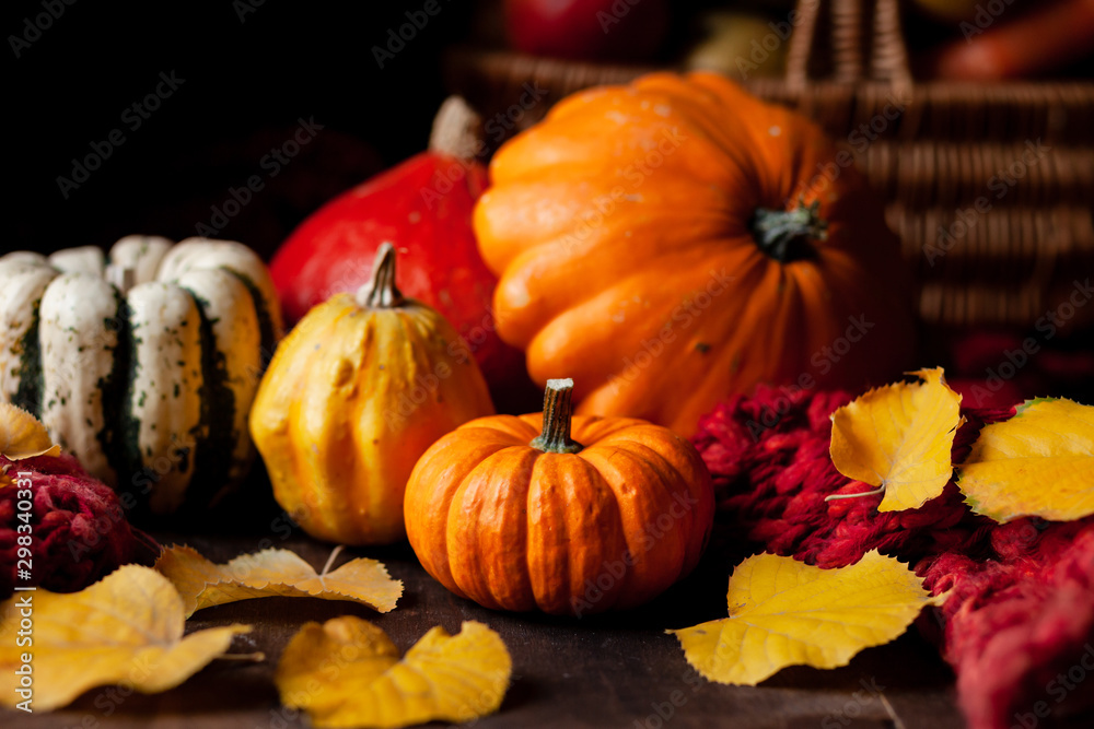 Autumn, harvest time. Composition with ripe organic pumpkins, apples, red scarf and yellow leaves. Basket on background. Low key, dark and moody