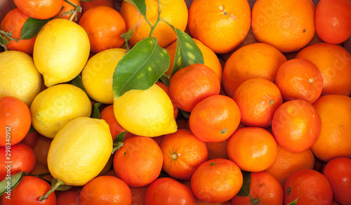 Citric fruits
