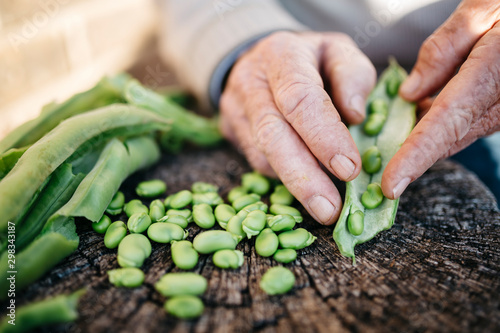 Hands of senior man peeling beans photo