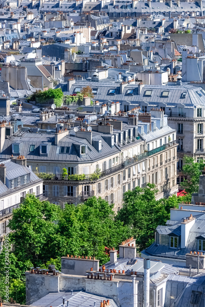 Paris, view of typical roofs of the French capital, ancient buildings