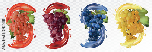 Set wine grapes. Table grapes white,red,dark blue with splash. Grapes on transparent background. Fruit and splashes. Vector illustration