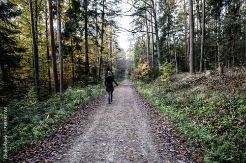 Women walking alone in a forest in autumn