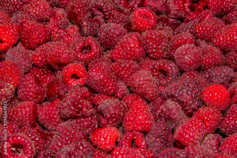 Background-texture of red overripe raspberry Rubus idaeus. Ripe raspberry in close-up. Soft selective focus. Background-texture of red overripe raspberry Rubus idaeus. Ripe raspberry in close-up. Soft selective focus.