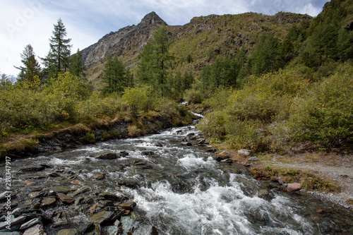 Fast, mountain river in the Altai mountains