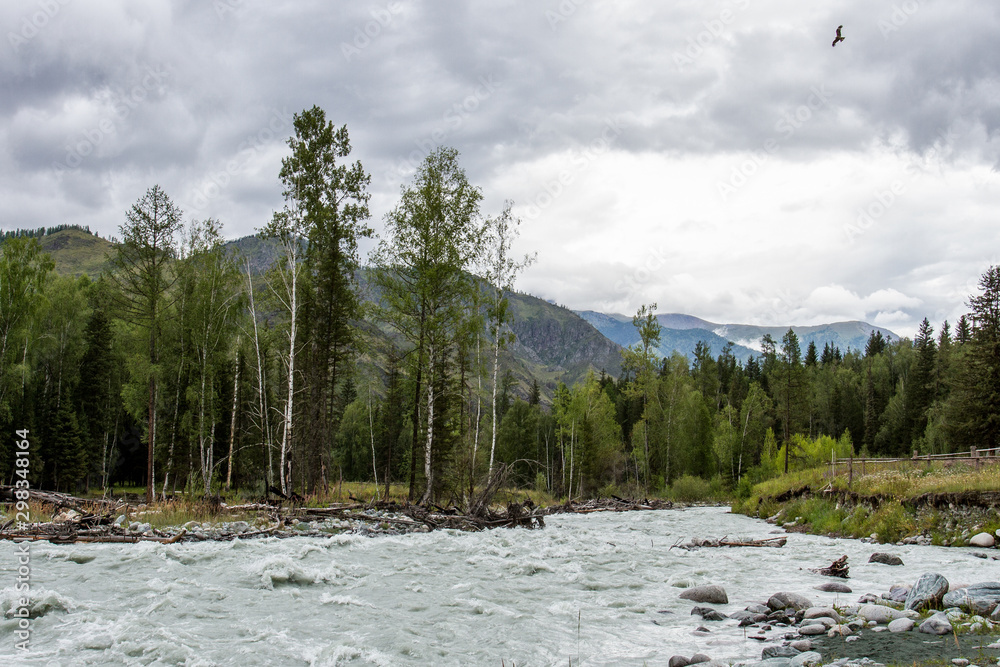Fast, mountain river in the Altai mountains Fast, mountain river in the Altai mountains