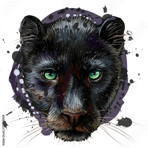 Panther. Artistic, sketchy, color portrait of a panther head on a white background in watercolor style.