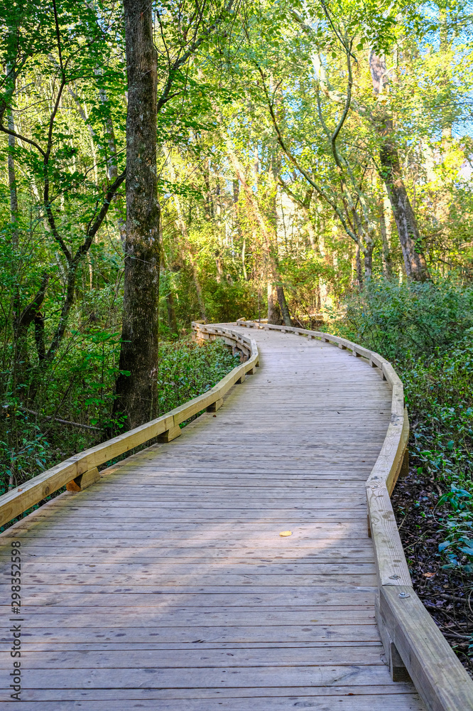 Wood Fitness Path Curving Through Green Forest