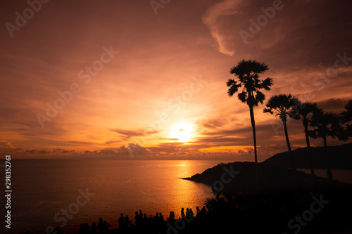 Palm trees silhouette on sunset, on tropical beach at phuket beach