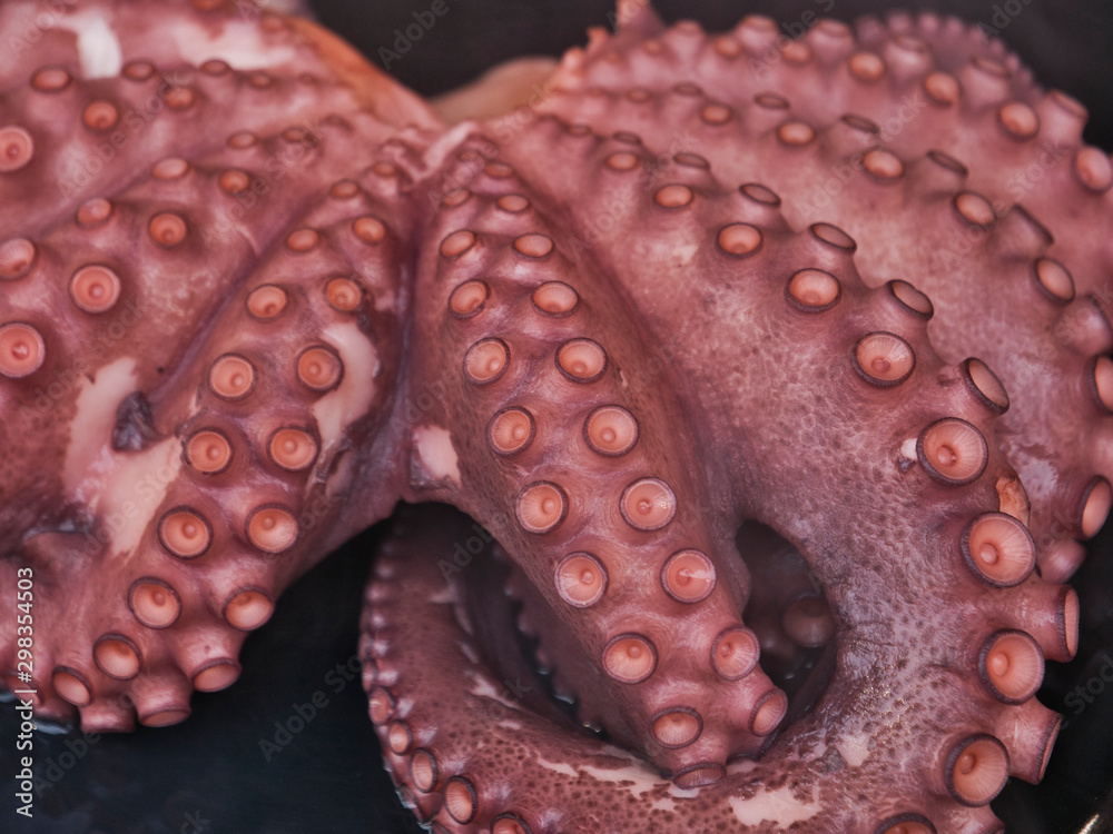 Fototapeta premium pulpo cocido