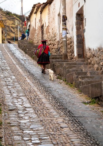 peruvian woman in traditional costume walking on a street of cusco with her puppy llama photo