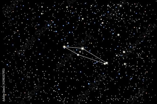 Vector illustration of the constellation Chamaeleon (Chameleon) on a starry black sky background. The astronomical cluster of stars in the Southern Celestial Hemisphere