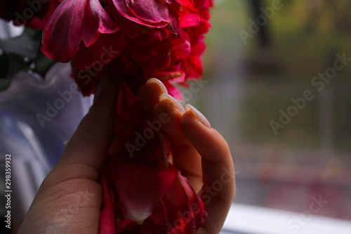 Hand holds flower on window background