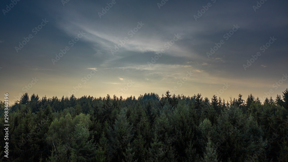 Fototapeta premium Felder - Wald - Wiesen - Luftaufnahmen