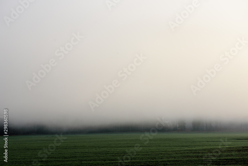 Deep fog above field in countryside, near forest. Foggy morning. Fall season.