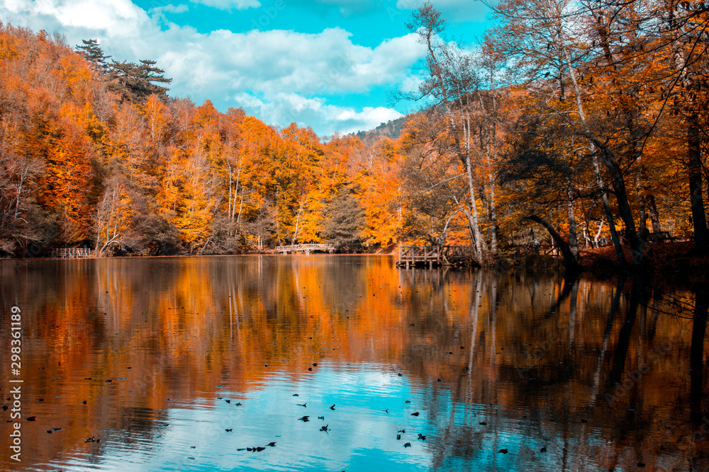 Obraz premium Black Sea forests in autumn