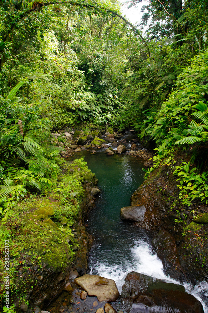 Mountain stream inside a tropical forest located in the National Guadeloupe park, Basse-Terre, Guadeloupe