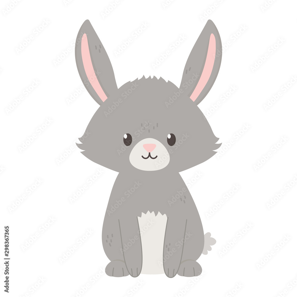 Obraz premium gray bunny sitting on white background