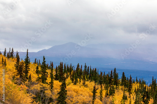 Autumn in the Mountains with Colorful Trees