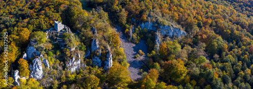 Herbstwald - Luftaufnahme © EinBlick