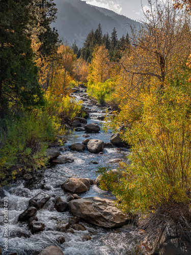 West Carson River, Autumn