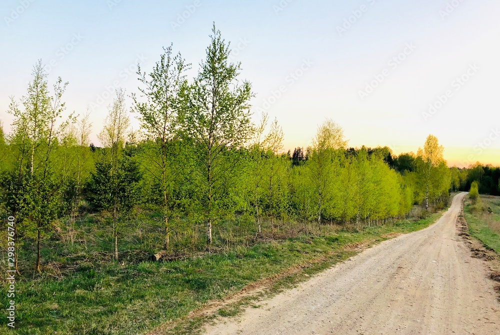 Fototapeta premium road in the countryside