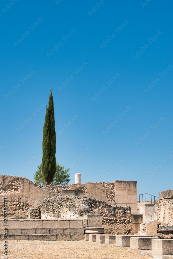 Fototapeta premium Ruinas romanas