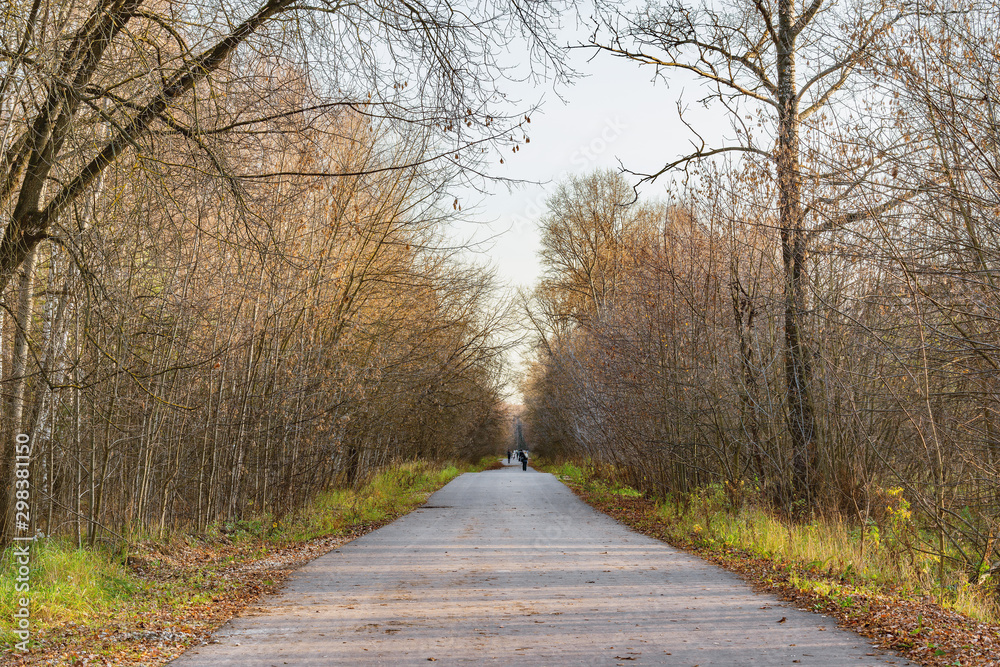 Asphalt road in the autumn park at evening time.