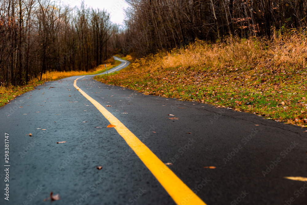 Fototapeta premium Curved path through the forest on rainy Fall afternoon