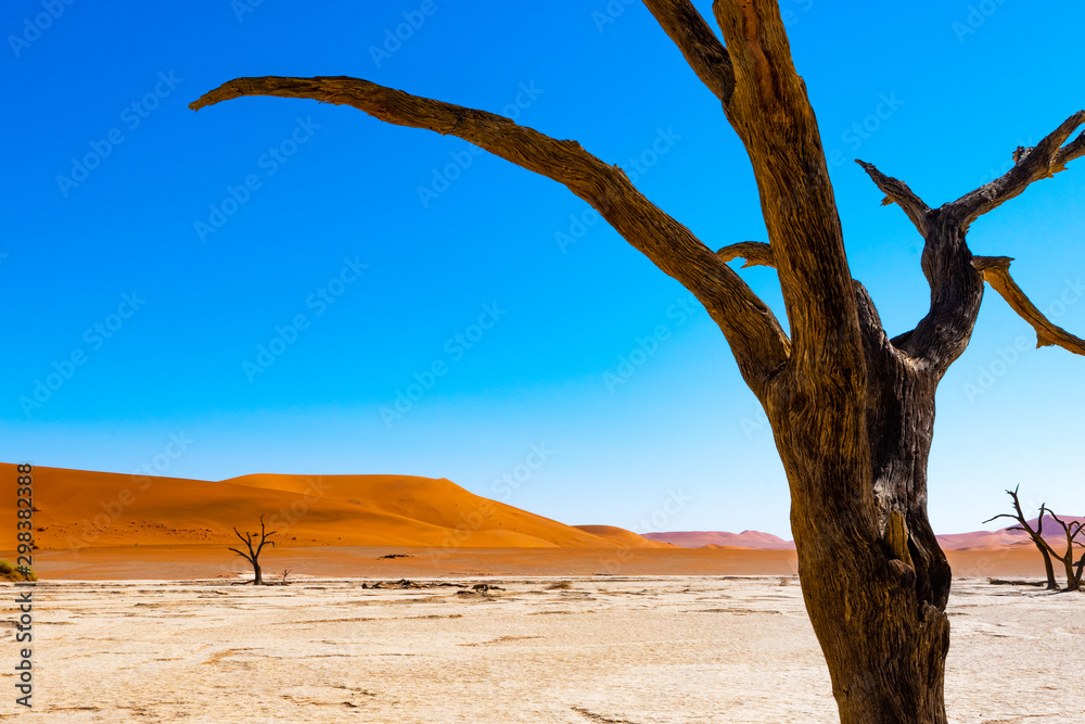 Désert de Sossusvlei en Namibie, Afrique