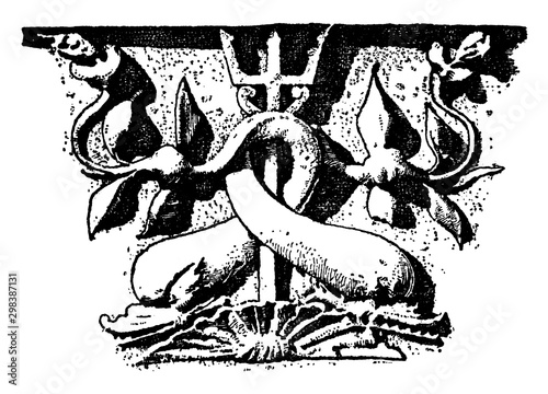 Dolphin Frieze was found in St. Maria dell Anima, vintage engraving. photo