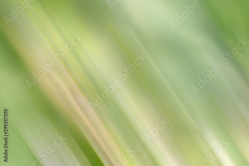 Abstract green color and blurred background