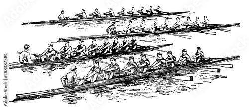 Group rowing vintage illustration.