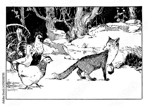 Fox and Fowl, vintage illustration