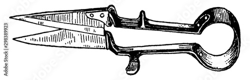 Sheep shearing Shears, vintage illustration.