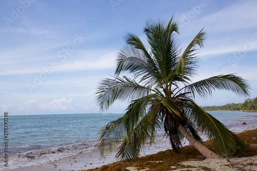 Traumstrand Cahuita Nationalpark 