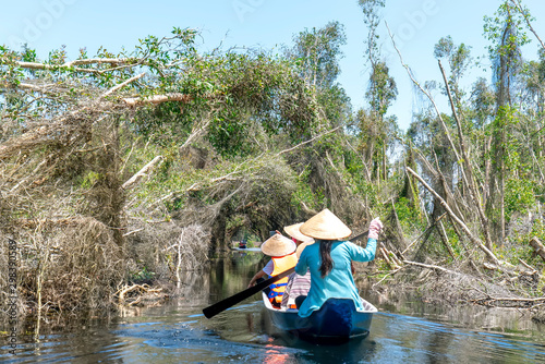 The ferryman takes traveler on a boat tour along the canals in the melaleuca forest. This is an eco tourism area at Mekong Delta in Long An, Vietnam