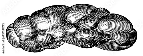 Kidney of an Ox, vintage illustration.