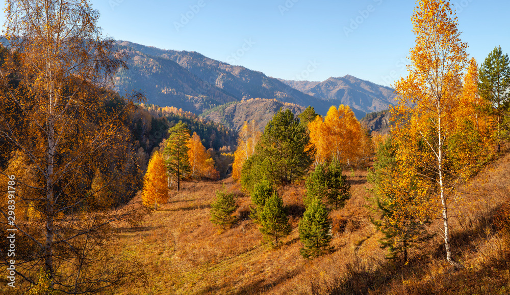 Forested mountains, autumn nature on a sunny day