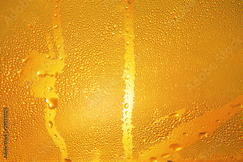 drops on the cold beer bottle and sunlight