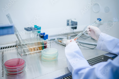 Scientist used chemical solution and equipment lab testing for Bacteria or virus on Fume Hood in laboratory ,Research and Science concept