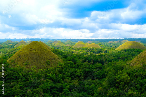 The nature of the forest is rich in nature. Chocolate Hill Bohol Hill