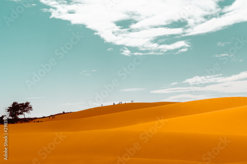 silhouettes on sand dunes of vietnams  mui ne dessert