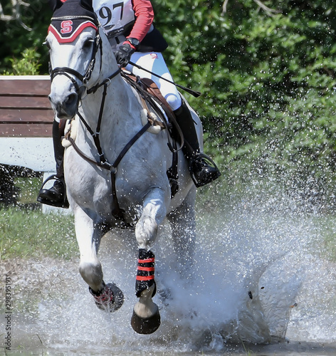 cross country show jumping horse and rider eventing and riding