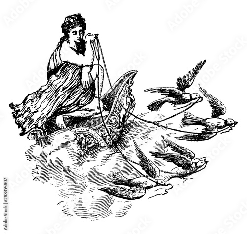 Aphrodite vintage illustration.