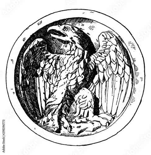 Photography Young Eagle is shown on a scutella or dish during the Roman times, vintage engraving