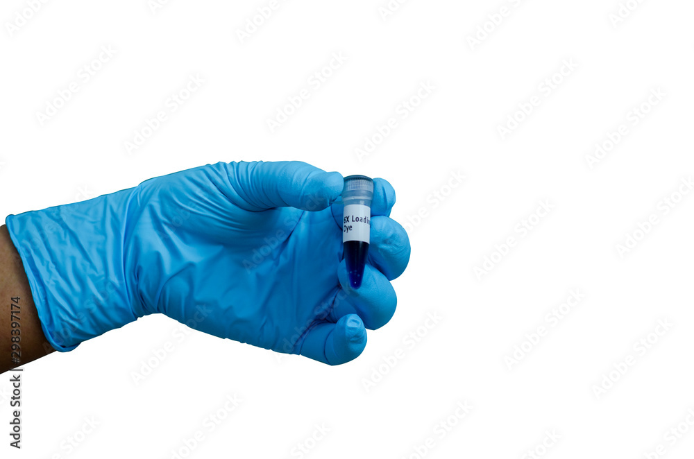 scientist hand holding DNA ladder tube with blue latex glove isolated on white background