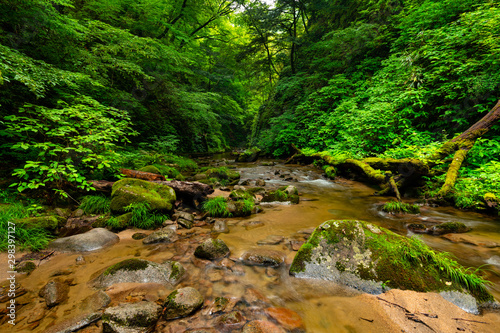 Sedogarou Canyon