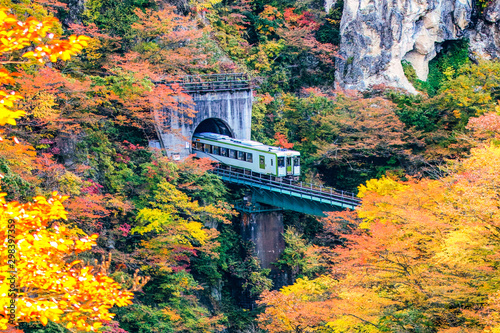 Train with Colourful Maple Trees on Hillside of Naruko Gorge in Autumn, Miyagi, Japan photo