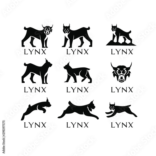 set lynx logo icon designs