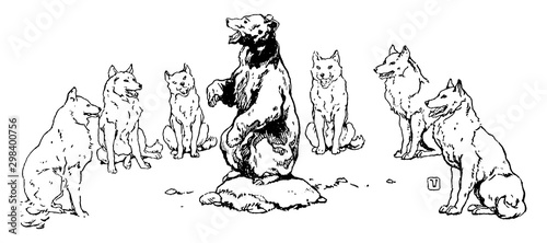Baloo Singing to Wolves, vintage illustration